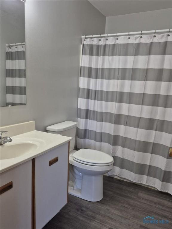 bathroom with vanity, wood-type flooring, and toilet