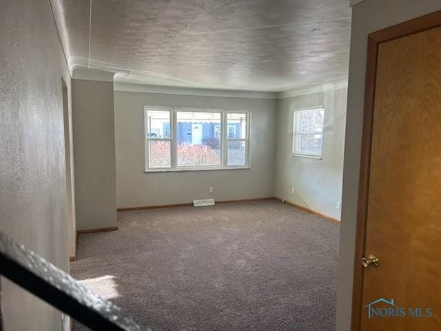 spare room with crown molding, carpet floors, and a textured ceiling