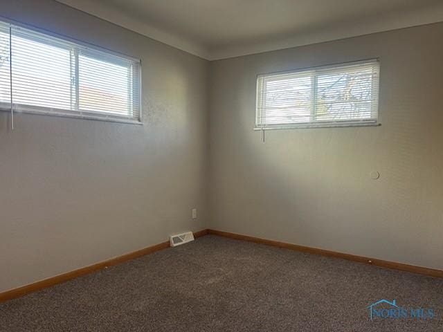 carpeted spare room with a wealth of natural light