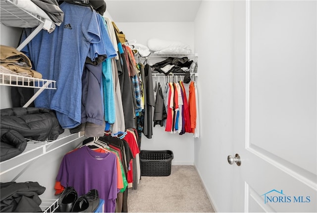 spacious closet featuring light carpet