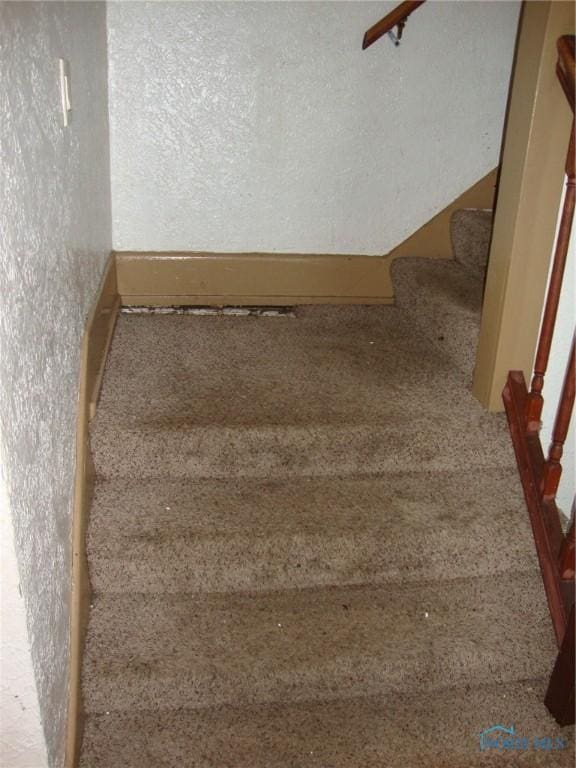 staircase featuring carpet floors