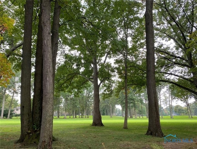 view of community featuring a lawn