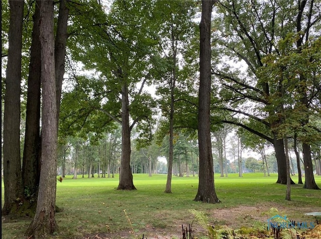 view of home's community featuring a yard