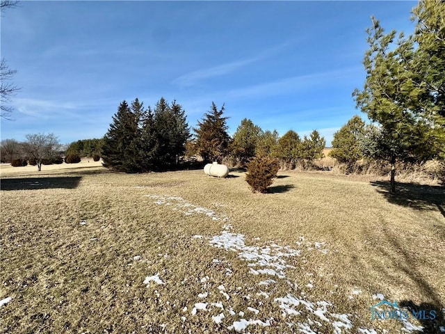 view of yard with a rural view