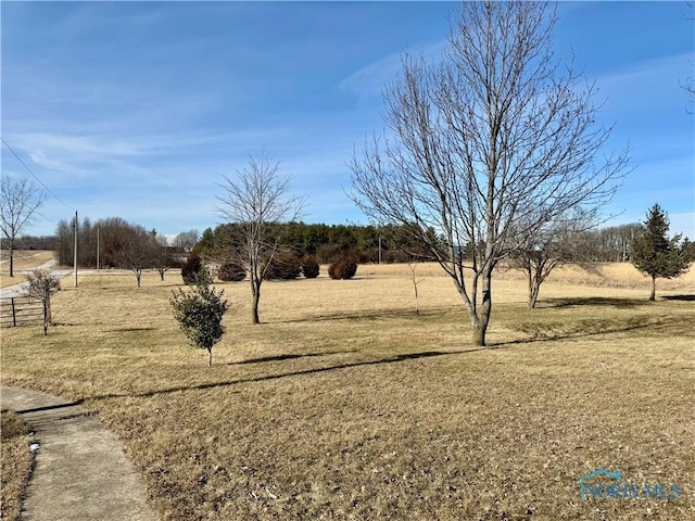 view of yard featuring a rural view