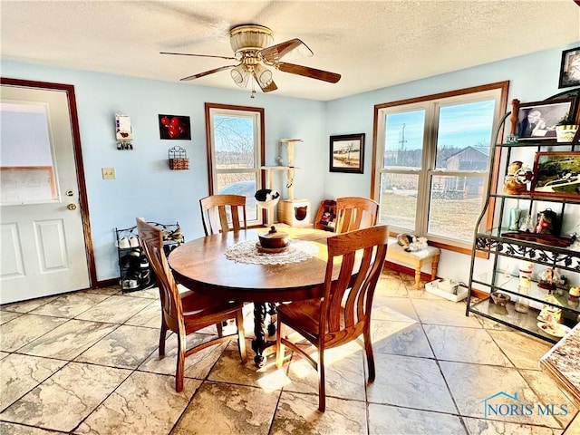 dining room featuring ceiling fan, a wealth of natural light, and a textured ceiling