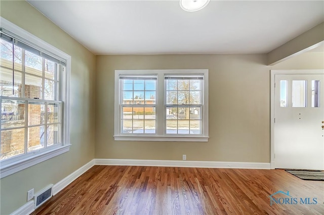 foyer entrance featuring wood-type flooring