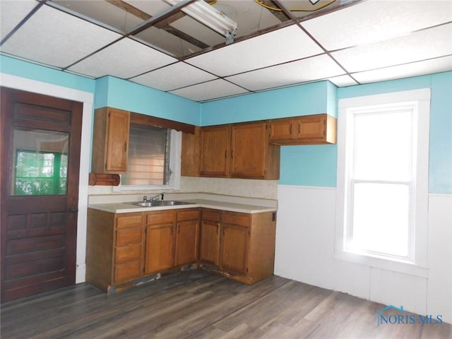 kitchen featuring dark wood-type flooring, sink, and a drop ceiling