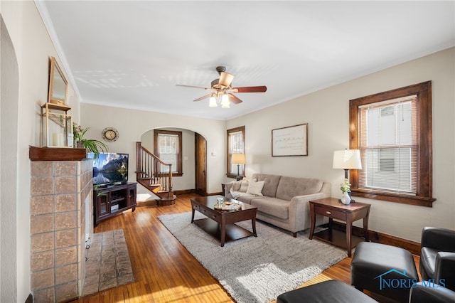 living room featuring crown molding, a wealth of natural light, wood-type flooring, and ceiling fan