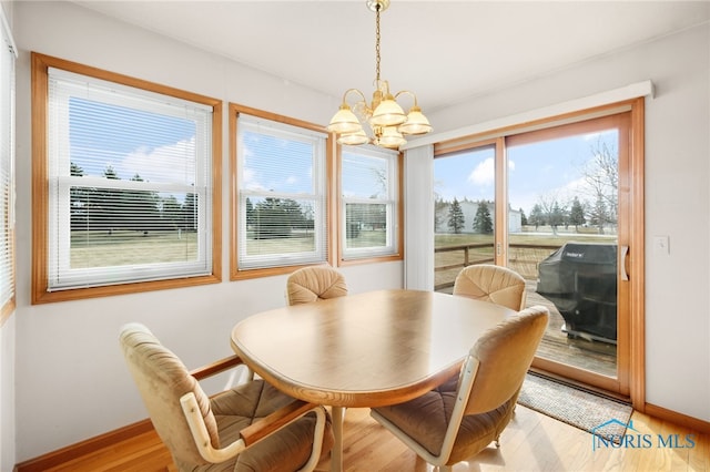 dining room with a chandelier and light hardwood / wood-style flooring