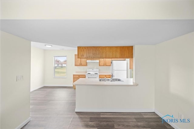 kitchen with range, range hood, dark hardwood / wood-style floors, and white fridge