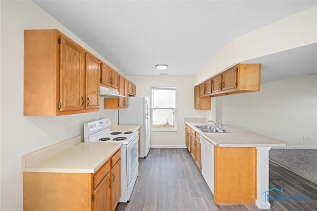 kitchen featuring dark wood-type flooring, white appliances, and sink