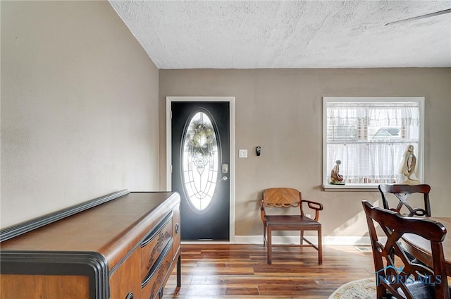 foyer featuring a textured ceiling, dark hardwood / wood-style floors, and a healthy amount of sunlight