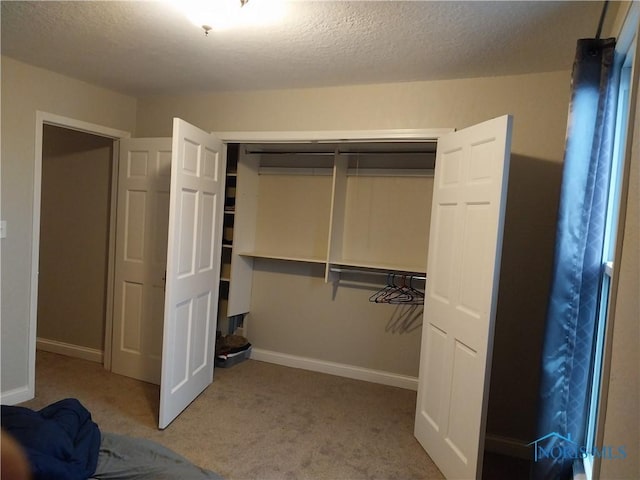 walk in closet with carpet