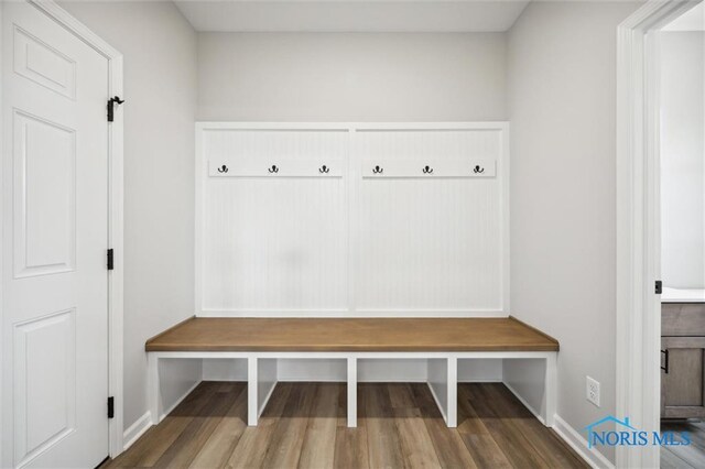 mudroom featuring wood-type flooring