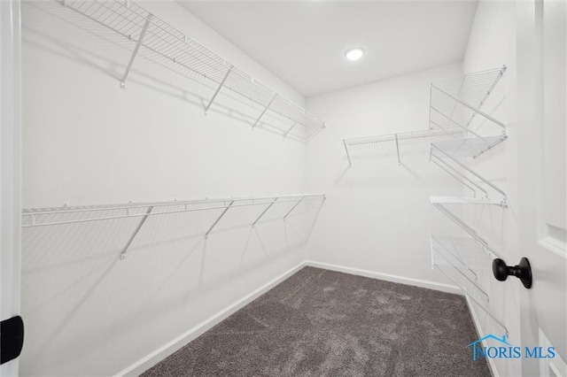 walk in closet featuring carpet