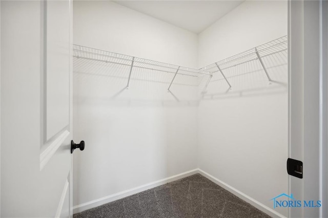 walk in closet with carpet