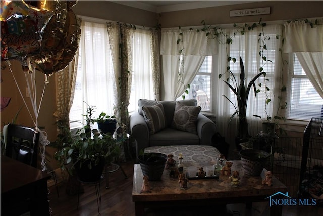 sitting room featuring hardwood / wood-style flooring