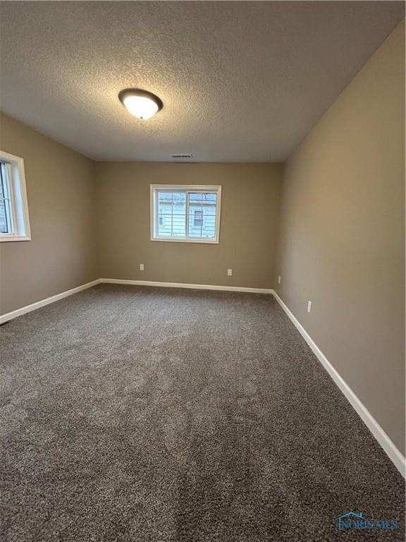 spare room with carpet floors and a textured ceiling