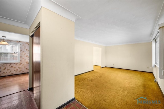 unfurnished room featuring ornamental molding and carpet