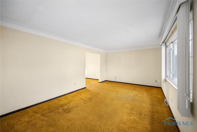 carpeted spare room featuring ornamental molding