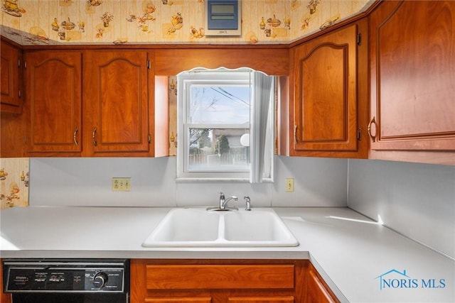 kitchen with sink and dishwasher