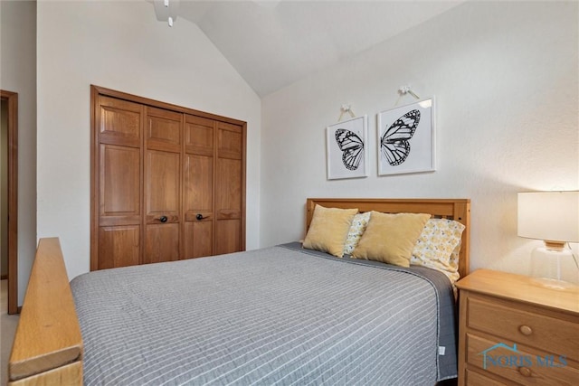 bedroom featuring lofted ceiling and a closet