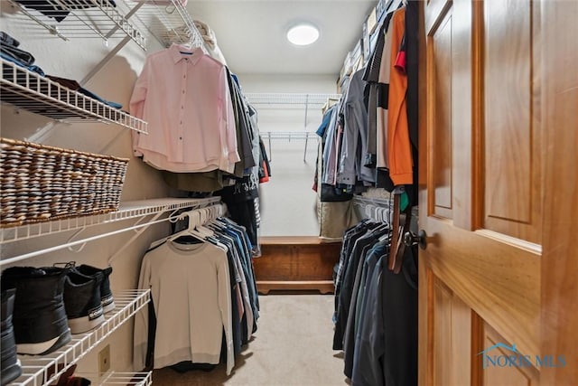 view of spacious closet