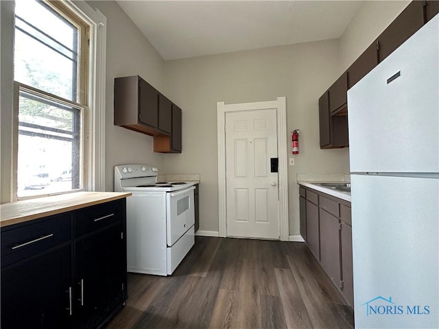 kitchen with dark hardwood / wood-style flooring, sink, white appliances, and dark brown cabinetry