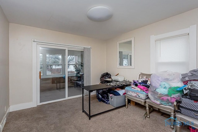 home office with carpet floors