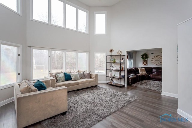 living room with dark hardwood / wood-style floors