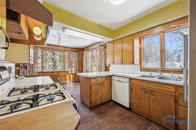 kitchen featuring sink, white appliances, dark hardwood / wood-style floors, kitchen peninsula, and ceiling fan