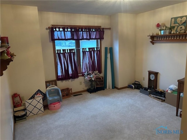 misc room with carpet floors