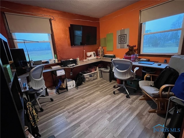 office space with a textured ceiling and light hardwood / wood-style flooring