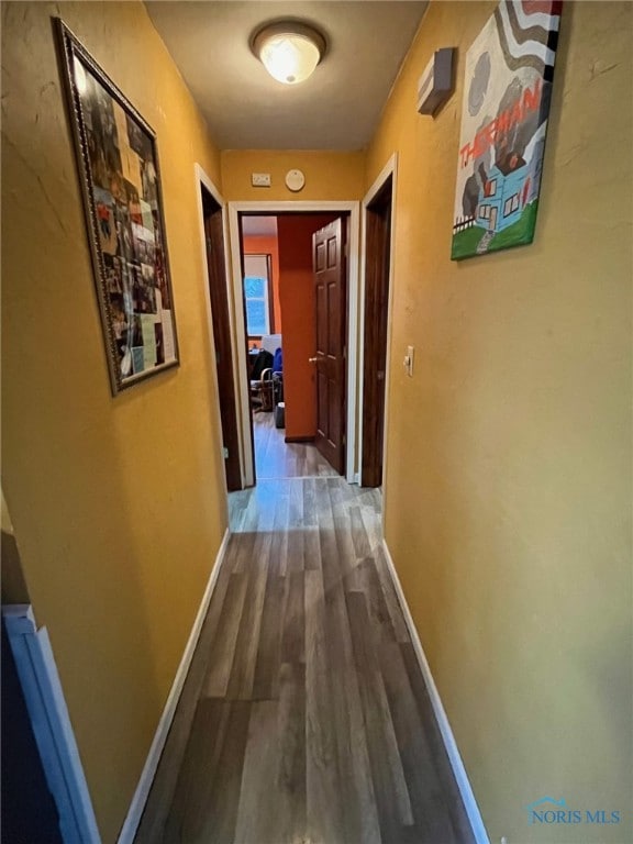 hall featuring hardwood / wood-style flooring