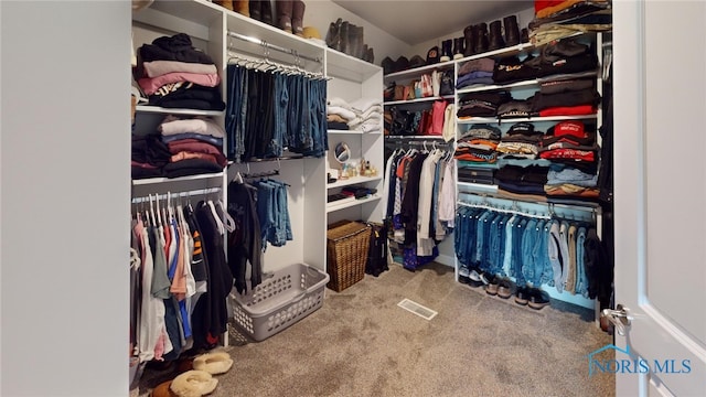 spacious closet featuring light colored carpet