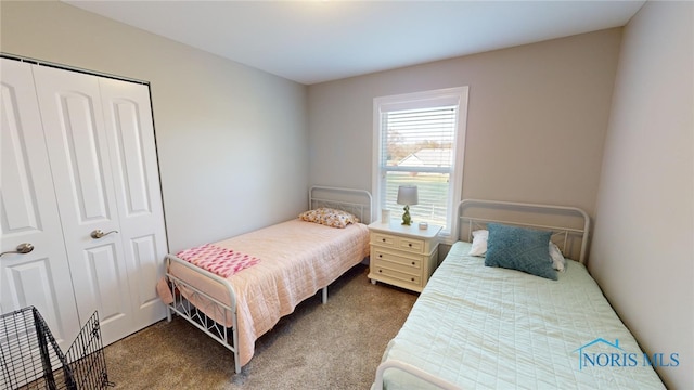 carpeted bedroom featuring a closet