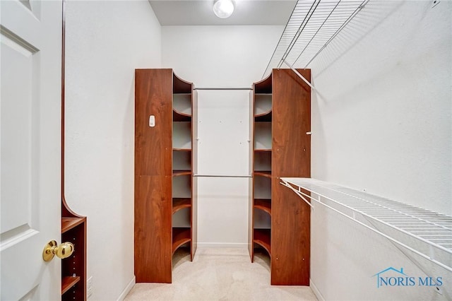 spacious closet featuring light colored carpet