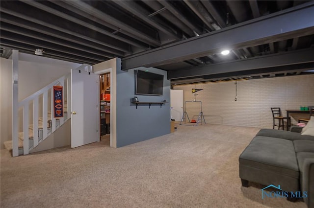 basement featuring carpet floors