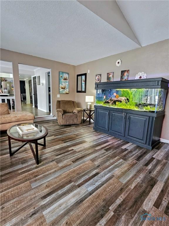 living room with a textured ceiling and dark hardwood / wood-style flooring