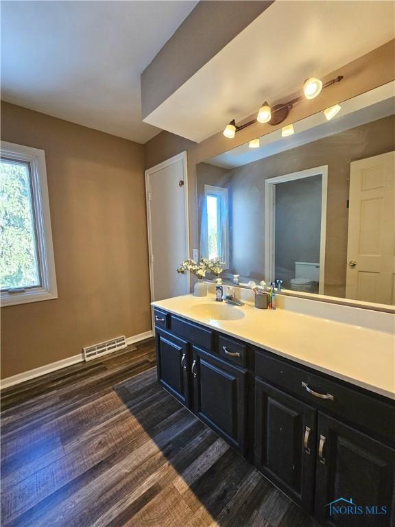 bathroom featuring vanity and hardwood / wood-style flooring