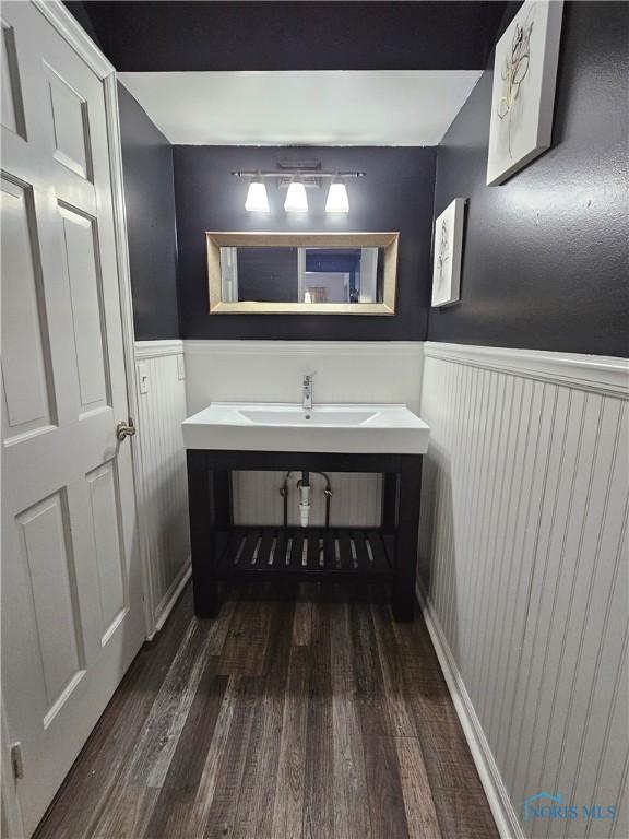 bathroom with wood-type flooring and sink