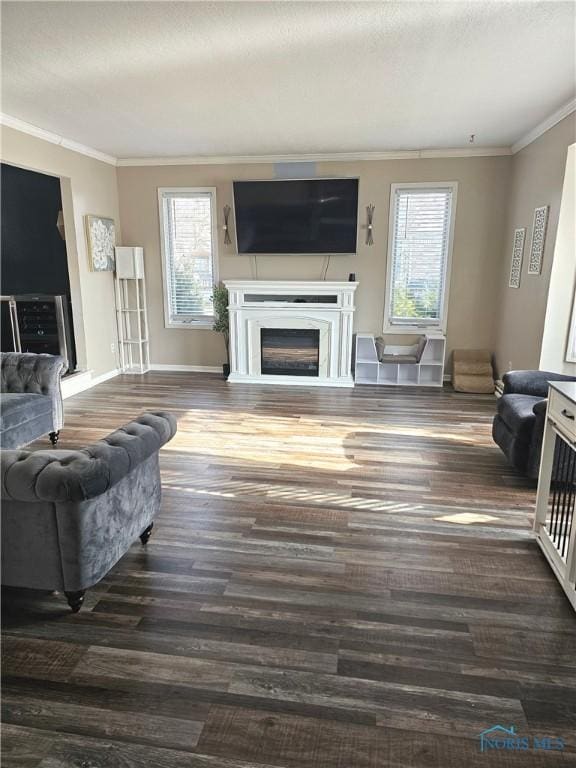 living room featuring ornamental molding and dark hardwood / wood-style floors