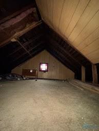 view of unfinished attic