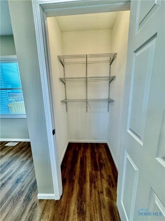 walk in closet featuring dark hardwood / wood-style floors