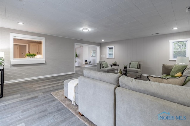 living room featuring hardwood / wood-style floors