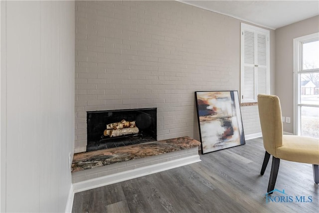 interior space with a fireplace and wood-type flooring