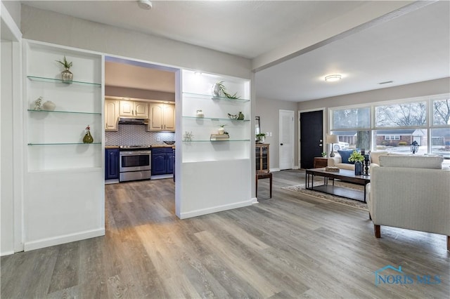 kitchen with blue cabinetry, stainless steel range oven, light wood-type flooring, and decorative backsplash