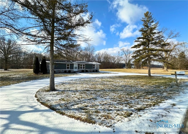 view of snowy yard