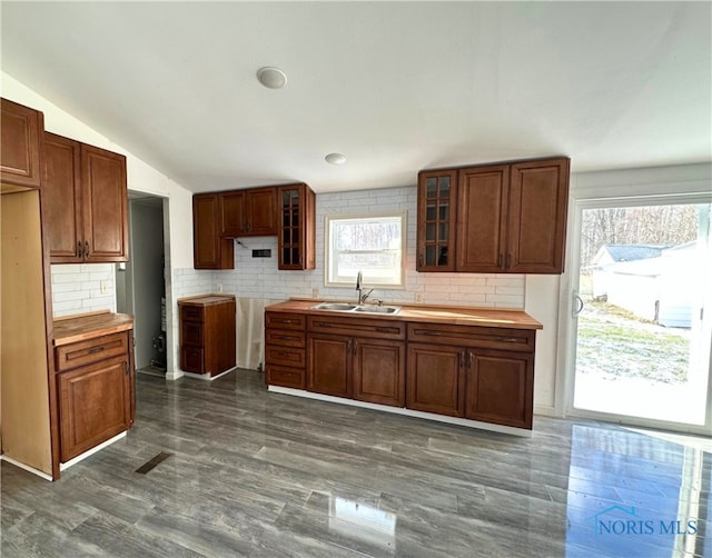 kitchen with vaulted ceiling, plenty of natural light, dark hardwood / wood-style floors, and sink